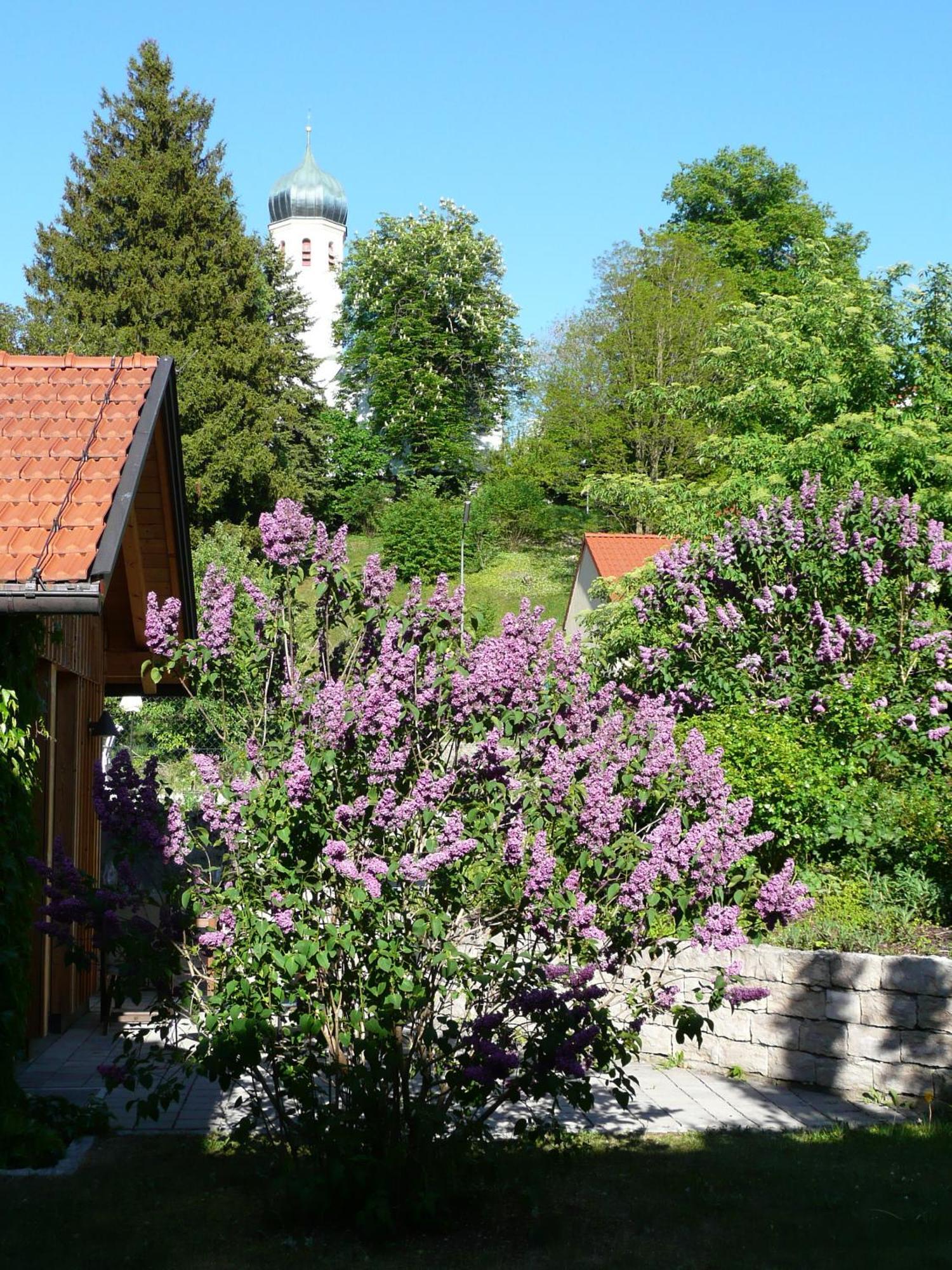 Romantik Hotel Chalet Am Kiental แฮร์ชิง อัม อัมเมอร์เซ ภายนอก รูปภาพ